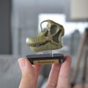 73506 Dinosaur burakiosaurusu Skull Mini Model (FDW – 506)