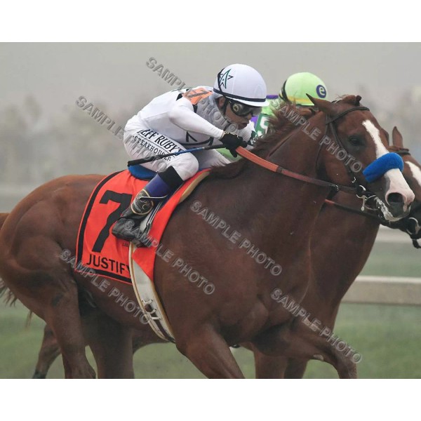 JUSTIFY 2018 PREAKNESS STAKES WINNER MIKE SMITH UP HORSE RACING