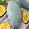 Eden Brothers Squash (Winter) Seeds - Guatemalan Blue Non-GMO Seeds