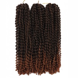 Haolocs 9 Bundles/Lot Marlybob Crochet Hair 8/10/12 Inchs Small Jerry Curl Braid Short Passion Twist Braids Afro Twist Synthetic Hair Kinky Curly Braiding Hair Extensions (T1B/30, 8 Inch)
