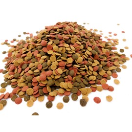 HERONS HERONS - Mini Wafer Mix - 5 mm Sinking Wafers with Spirulina - For All Bottom Feeding Fish - Rich in Vitamin C and Fiber - Immune Support - Enhance Colour and Improves Digestion - 300 Grams