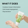 Dr.Cabbage+ Cabbage Breast Cream 3.38 Oz with Special Cooling Ball