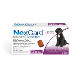 NexGard® (afoxolaner) Flea and Tick Protection for Dogs Oral Soft Beef Flavored Chewables, 24.1 to 60 lbs. (Purple Box) 1 Chew (1 Month Supply)