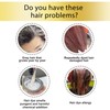 JISKG Beirou Bubble Plant Hair Dye Shampoo, Natural Plant Extract