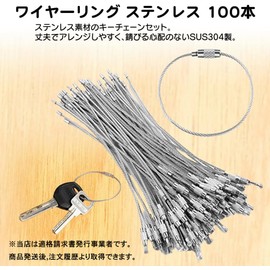 FUPUONE Stainless Steel Ring, Stainless Steel Chain, Key Chain, 100 Pieces (Width 0.6 x 5.9 inches (1.5 x 15 cm)