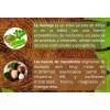 Revuele Tratamiento Vegano Orgánico · Macadamia Moringa Coco