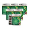 Ginkgo Omega 3 60 capsules, 6 boxes (12 months supply), 60 tablets, 6 boxes / 징코 오메가3 60캡슐 6박스(12개월분), 60정, 6박스