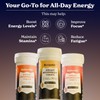 BetterAlt Shilajit Effervescent Tablets | Multi Flavor Pack