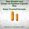 tnvitamins Turmeric & Boswellia Complex (180 Capsules) with Ginger Root,