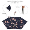 S21001 Folding Umbrella, 21.7 inches (55 cm), Wind Resistant Mini,