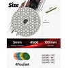 Panfreet 4"/100mm 4 Step Polishing Diamond Pads,Granite Polishing Pads Wet