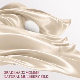 WLOSJ 100% Silk Pillow Cases Standard Size Mulberry Silk Pillowcase for Hair and Skin 22 Momme Highest Grade 6A Silk with Hidden Zipper 20 x 26 Inches 1PC, Beige