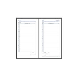 Collins 2025 Day to a Page Personal Organiser Refill (PR2100) - compatible with six hole organisers - (172 x 96mm)