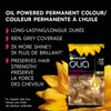 Garnier Olia Permanent Hair Dye, Ammonia-Free Hair Color, 8.31 Golden