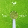 Organic Matcha Green Tea Powder, 2 lb (907g) | First