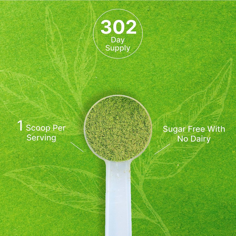 Organic Matcha Green Tea Powder, 2 lb (907g) | First
