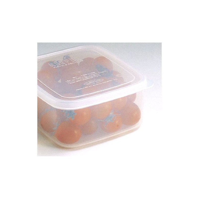Iwasaki Industries B-1817 NE Antibacterial Food Storage Container, Clear, 1.2