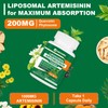 NICMIN Liposomal Artemisinin Supplement 1000mg, Sweet Wormwood Extract with 200mg