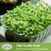 3 Packs Broccoli Microgreens Seeds for Planting and Growing -