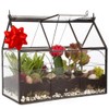 D'Eco Glass Greenhouse Terrarium (10x4.5x9) - Tabletop Black Hinged Geometric
