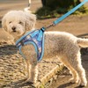 Dog Harness for Small Dogs,Small Dog Harness Puppy Harness Breathable
