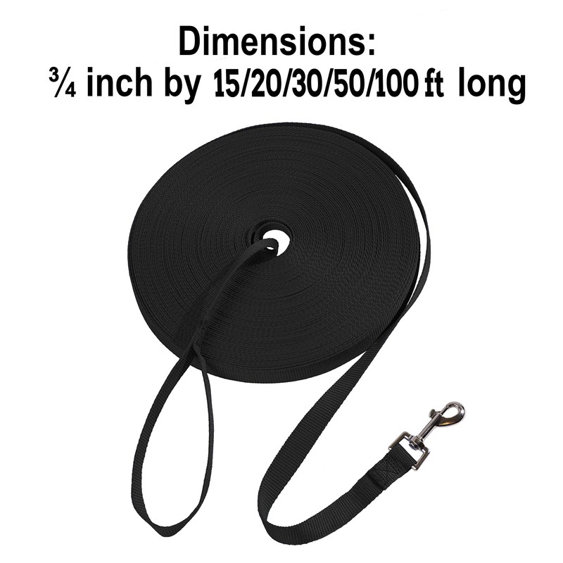 Hi Kiss Dog/Puppy Obedience Recall Training Agility Lead/ Leash -