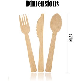LUMOUS ROLA 100PCS Disposable Wooden Cutlery Set [100 Spoons ] BPA Free Eco-Friendly Biodegradable Cutlery Set for Picnic Outdoor Parties(100 PCS Spoons)