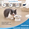 Gonalulu Elevated Ceramic Slow Feed Dish for Cats and Small
