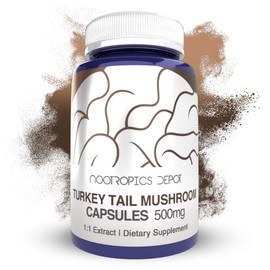 Turkey Tail Mushroom Capsules | 500mg | 180 Count | Trametes versicolor