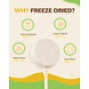 PAWUP Freeze Dried Chicken Dog Treats with Edible Rawhide Stick,