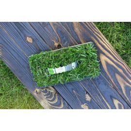 SodPods St Augustine ProVista Grass Plug Tray (16-Pack)