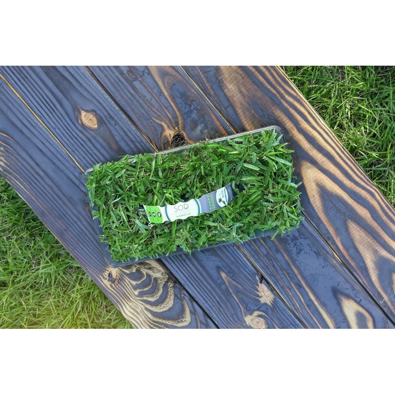 SodPods St Augustine ProVista Grass Plug Tray (16-Pack)
