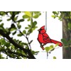 HAOSUM Red Cardinal Gifts Bird on Branch Stained Glass Window