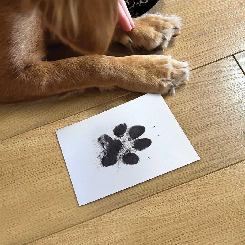 Pet Keepsake Kit - Memory Box, Clay Paw Print Impression,
