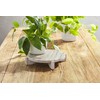 Mud Pie Marble Wood Pedestal, 2" x 8 1/2" dia,