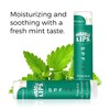 Holocuren Miracle Lips Anti-Aging Lip Serum and SPF 15 Lip