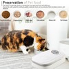 WIYETY Automatic Pet Feeder, Automatic Pet Feeding for Dogs and