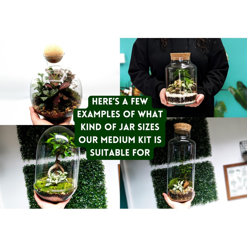 DIY Medium Open and Closed Terrarium Kit (Champagne Pebbles)