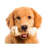 Huesos de Carnaza para Perros, Diferentes Tamaños, Excelente Calidad