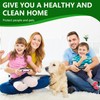 FfordHome Pest Repellent ，Rodent Repellent Moth Balls for Outdoor use，