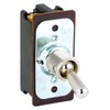 Toggle Switch, Dpst, 8A @ 250V, Screw