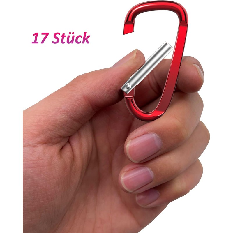 CALLYSONIC Carabiner Hook, 17 Pieces Key Rings Small, Carabiner Hook,