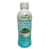 CLOROFILA CON MATCHA
