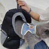 Dog Backpack Cat Backpack Portable Dog Backpack Breathable Adjustable Cat