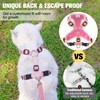 BEAUTYZOO Cat Harness and Leash Set for Walking Escape Proof,