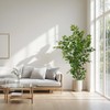Artificial Ficus Tree with Green Leaves, 6 ft Tall, Indoor