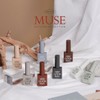 Very Good Nail Muse Fall Collection Single Item / 베리굿네일