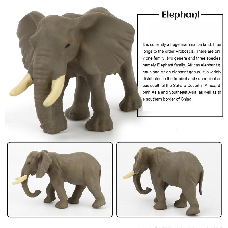 12PCS Mini Forest Animals Figures Toy Simulation Forest Animals Figurines