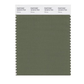 PANTONE Smart 18-0316X Color Swatch Card, Olivine