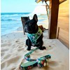 Hawaiian Print Harness & Leash Set (L)